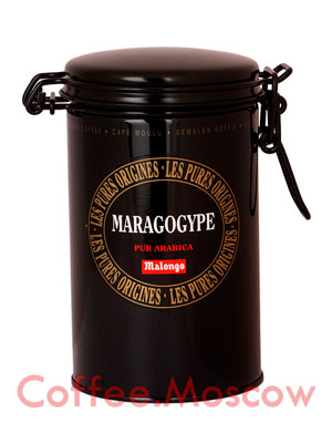 Кофе Malongo молотый Maragogype  250 гр (ж.б.)